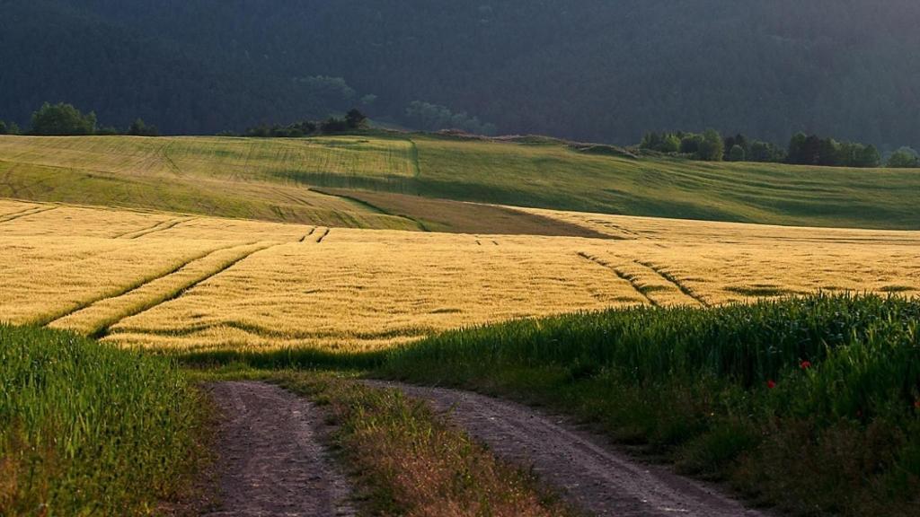 Penzion Mlynarov Dvor Dubrava Kültér fotó