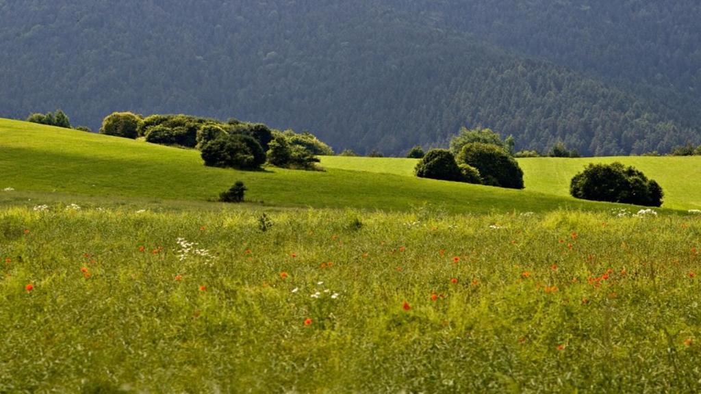 Penzion Mlynarov Dvor Dubrava Kültér fotó